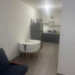 Beautiful apartment near Polanco