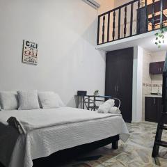 Ingenio Haus 202