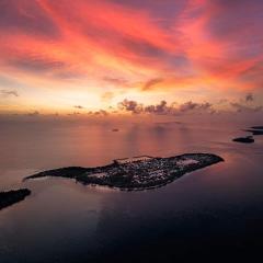 Bougain Villa Gemanafushi