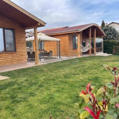 Вили Панорама 2