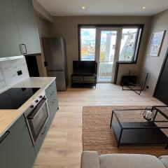 Elvegata 6, 0302 Kristiansand