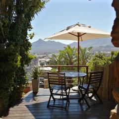 African Violet - Terraces