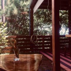 Suite au milieu des arbres