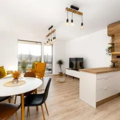 New BNB Apartment In the Ostrava with parking option