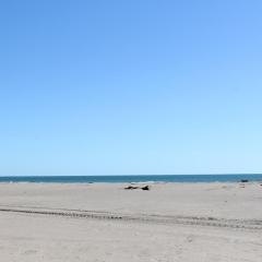 SP200-056 Maison 3 pièces mezzanine SAINT PIERRE LA MER