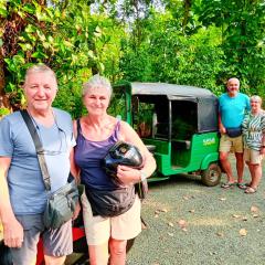 Monkey Jungle Cottage