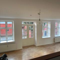 Exclusive 1BR - Newly Renovated