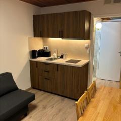 Studio 50m des pistes