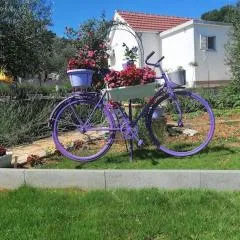 House Marie?s Lavander Dream