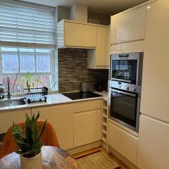 Central apartment