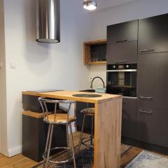 Apartament Szary na Starówce