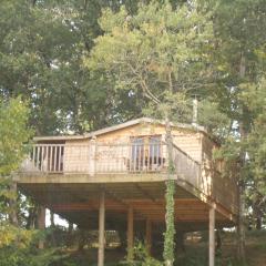 Cabane dans les arbres à la ferme