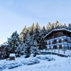 Apartment Andine Loft by Interhome