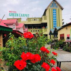 Hotel Green Carpet