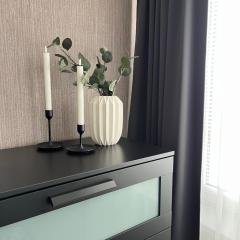 Vienibas apartment
