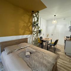 Studio hyper centre le Cosy