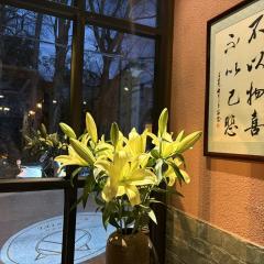 大理古城梵猫轻客栈