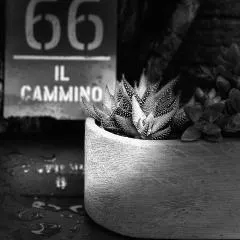 Il Cammino