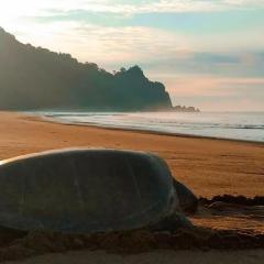 Turtle Excursions Backpacker by Nirmala Homestay