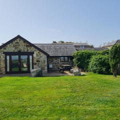 Little Owl at Bejowan Barns