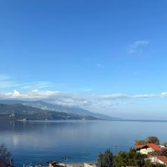 Blue Chameleon Seaview Maisonette