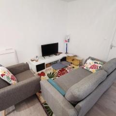 Chambre chez l'habitant- Saint-Étienne, France