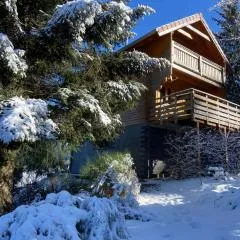 Chalet authentique au calme, en lisière de forêt, montagne, sentiers 15mn Gérardmer & Alsace "Chalet Mon beau sapin"
