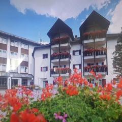Santa Cristina SudTirol SassLong Flat