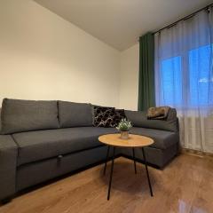 Balvi center apartment