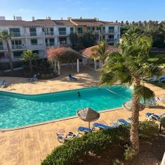 Vila Verde Calistemon