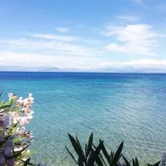 Villa Diana Beachfront Vacation Home