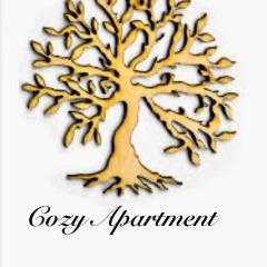 cozy apartment messini