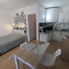 Studio Rue Castellane pour Cure ou Tourisme Vert à 2 min des Thermes