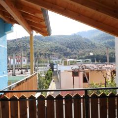 Vila Rino Berat