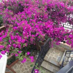 BOUGAINVILLEA Relax e Mare a 50m, in Centro!