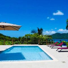 Magnifique villa piscine vue mer à 180