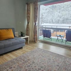 Sinaia Mountain View Residence Belleview