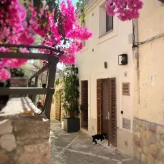 Casa pi