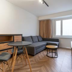 Spodek Modern Space Studio by BookingHost