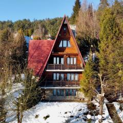 BUKOWA Jezioro Żywieckie Beskid Żywiecki Śląski Sauna Jacuzzi Kominek Morsowanie Tresna Żywiec Szczyrk