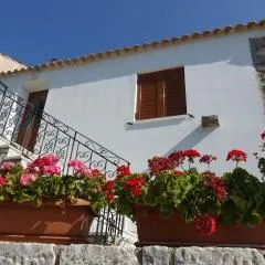 Mani's House