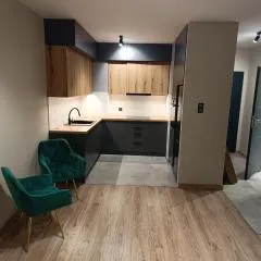 Apartament Apart Kutno