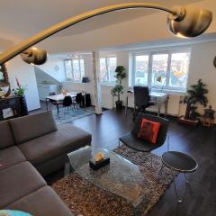 Luxury Apt - View of the Center of Prague