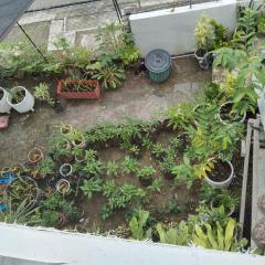 Room for rental in compostela