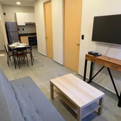 Cozy, brandnew apt in la Juárez