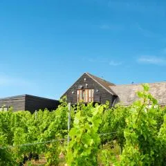 Mersea Island Vineyard