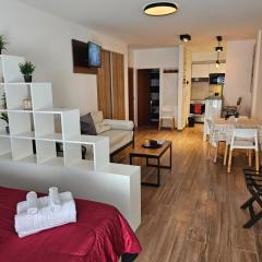 Amplio y hermoso departamento en Buenos Aires