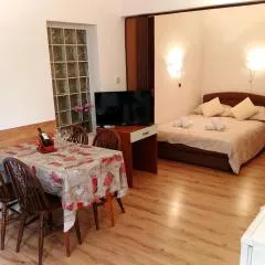 Studio Apartment Mit Terrasse Und Parkplatz
