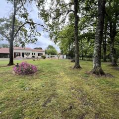 Résidence 105-st Vivien De Medoc - 105 - Superbe maison avec son grand parc verdoyant MAE-2871