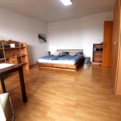 Ferienwohnung Graz City